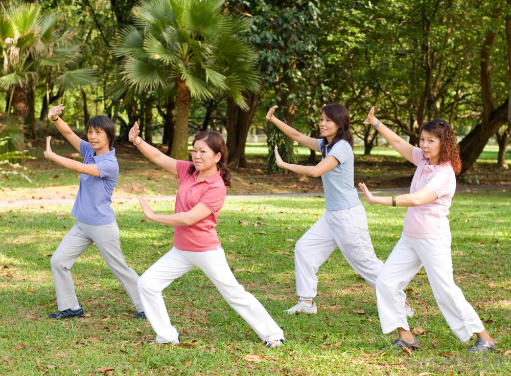 group-of-women-performing-tai-chi-on-grass