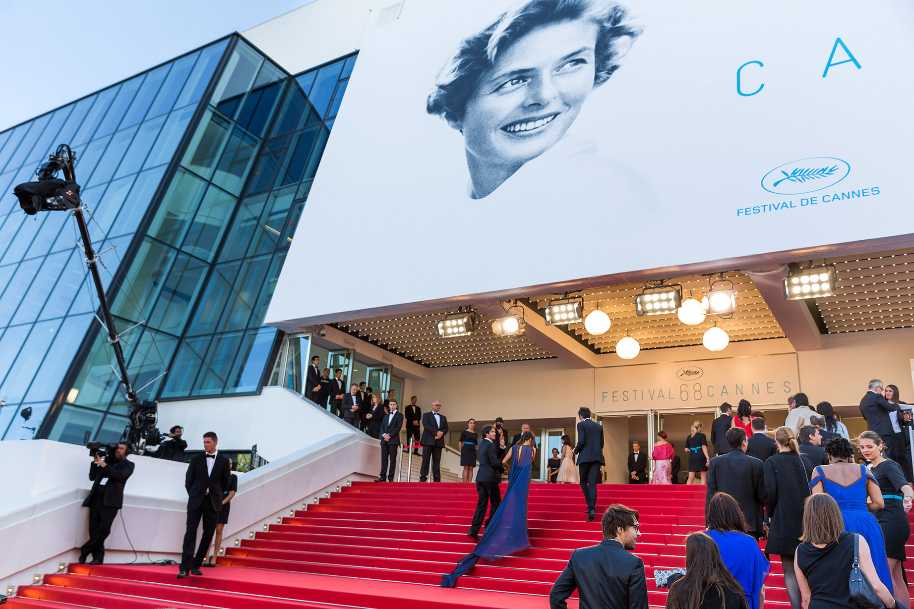 festival-cannes-2015©palais-herve-fabre-84