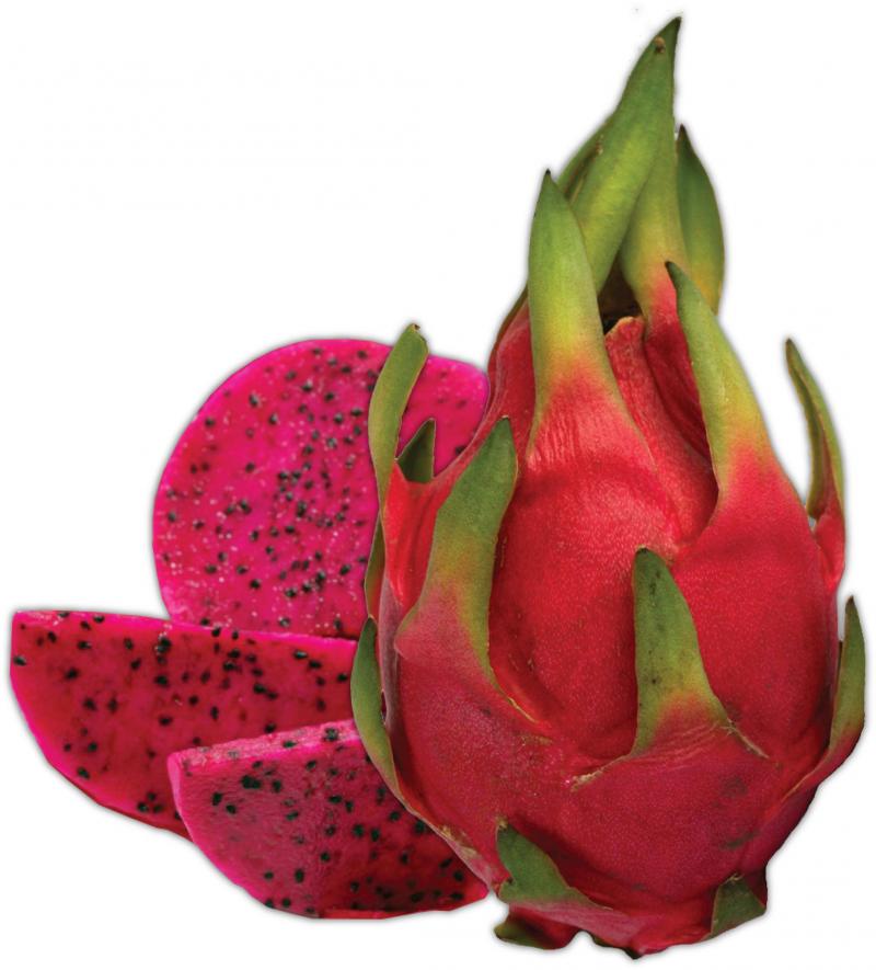 pitaya2smaller.338150740_std