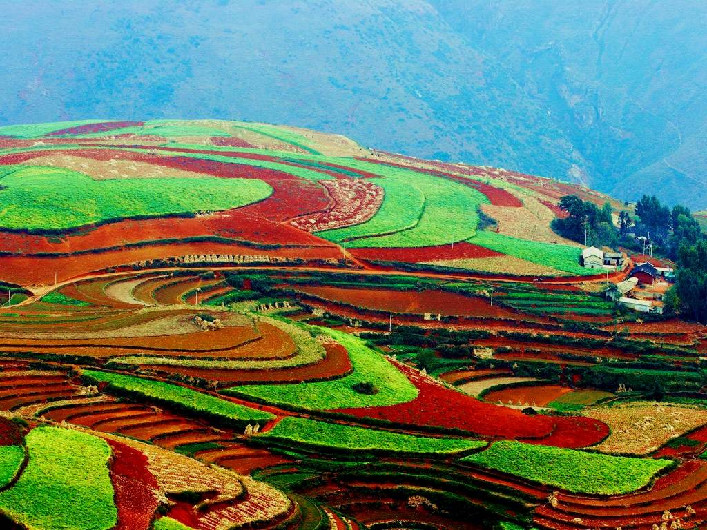 dongchuan-red-land (21)