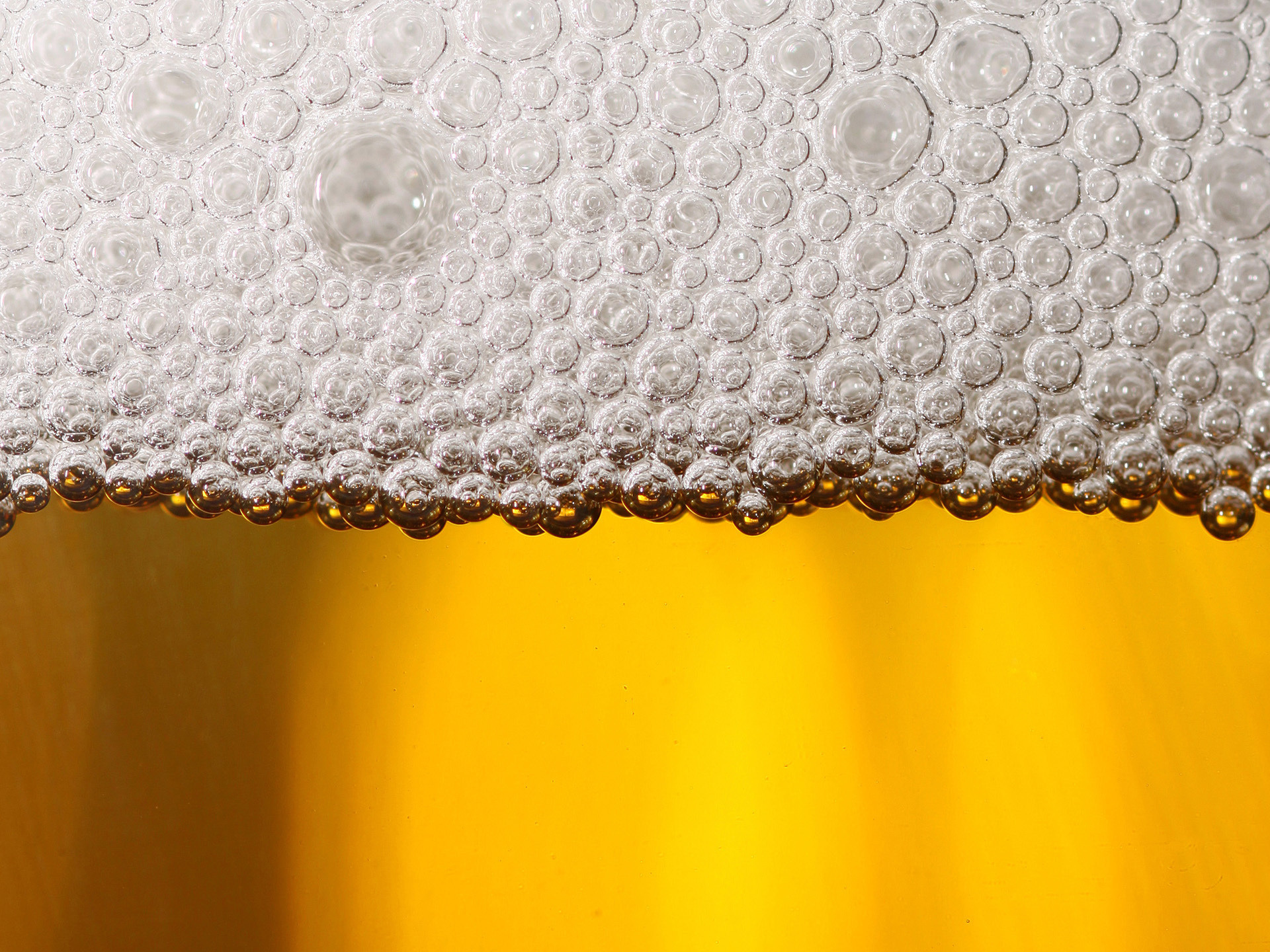 beer-foam