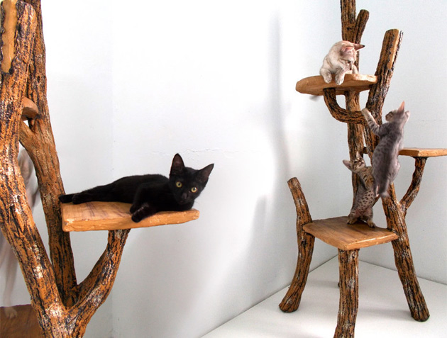 rustic-luxury-cat-trees