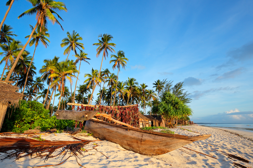 Wooden sailboat (dhow) and palm trees on a tropical beach of Zanzibar island