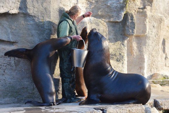 tierpark-schoenbrunn-a-ps