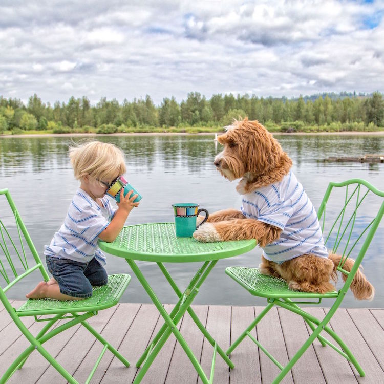 reagandoodle-dog-and-boy-1