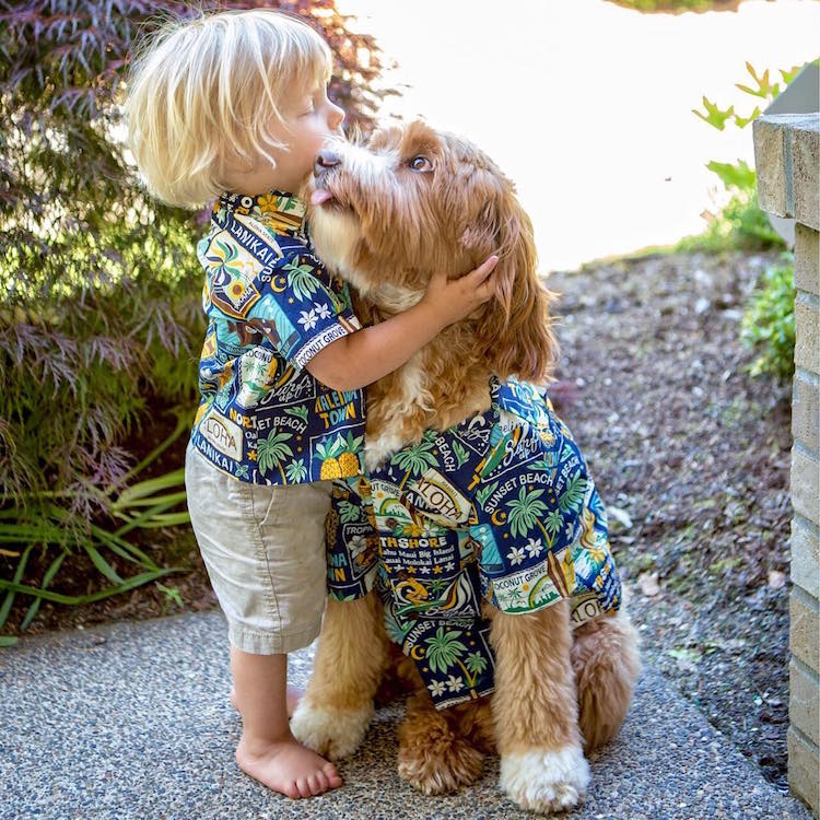 reagandoodle-dog-and-boy-16