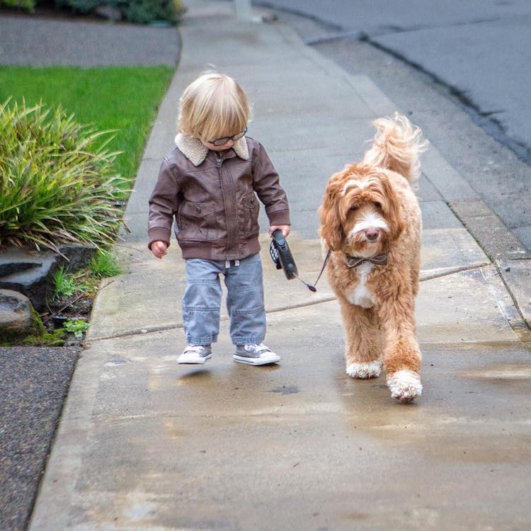 reagandoodle-dog-and-boy-4